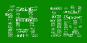 OD注册大厅邀您共享低碳“盛宴”