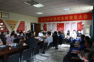 树正气，走正道，办正事——河南OD注册大厅集团召开党员大会